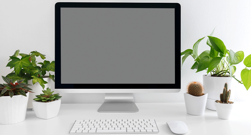 Email Animated Header