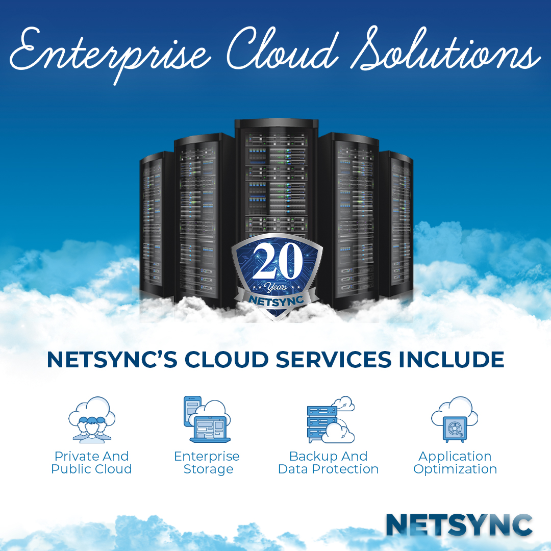 Netsync Graphic