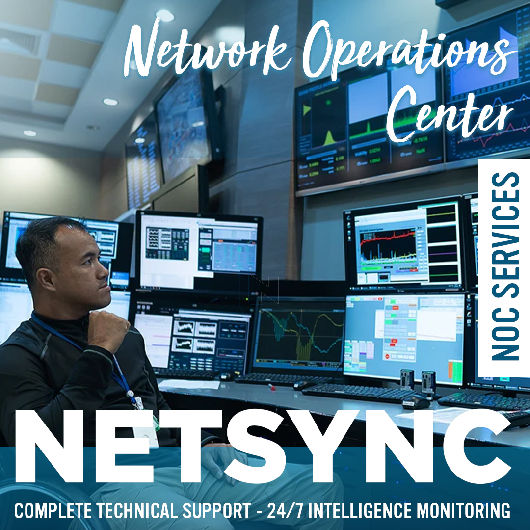 Netsync Graphic 5